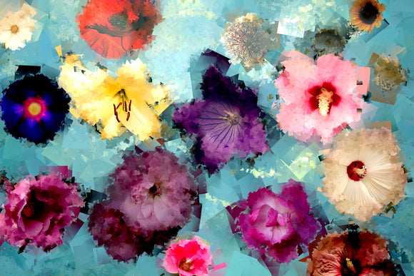 Wildflower 9