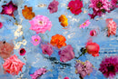 Wildflower 10-1