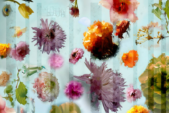 Wildflower 12