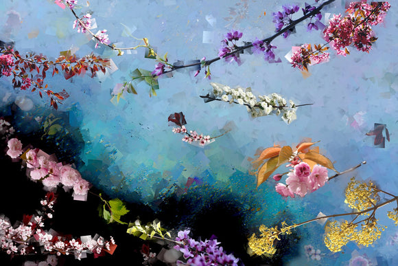 Wildflower 13