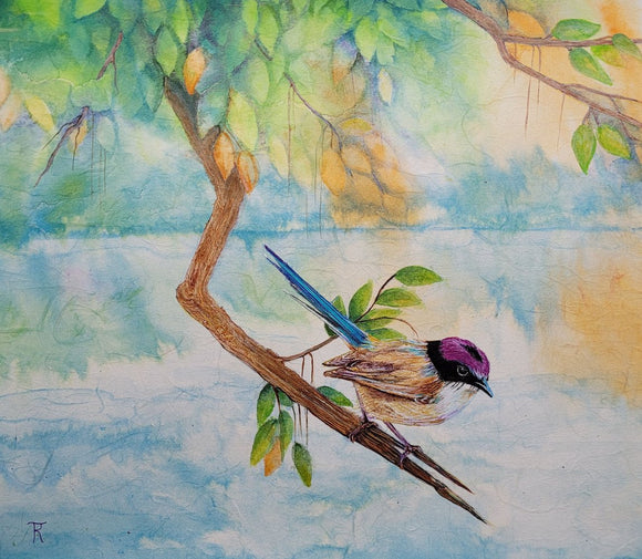 Purple-Crowned FairyWren