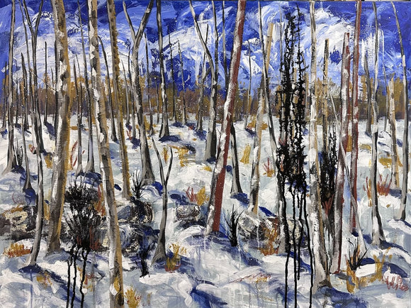 Escarpment Trail Winter