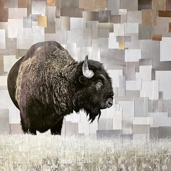 Bison In The Snow
