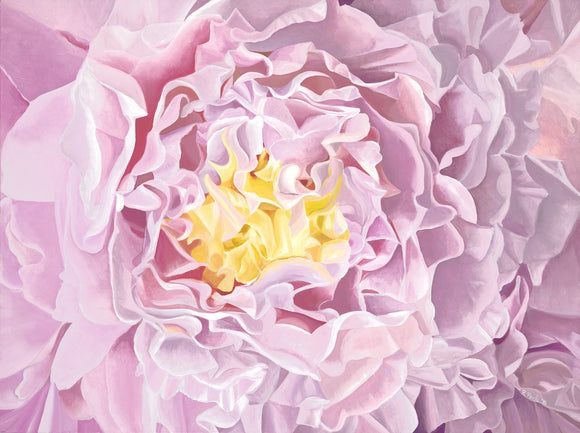 Glowing Peony