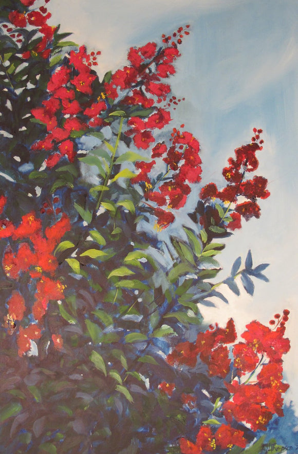 Crepe Myrtle