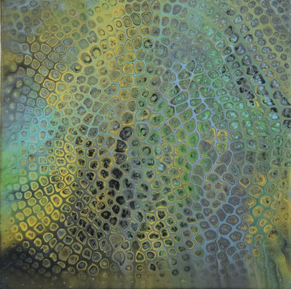 PRIMORDIAL REFLECTIONS