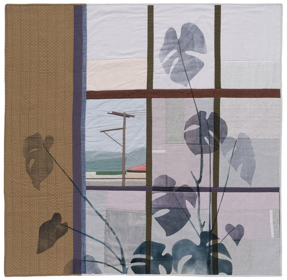 Window and Monstera