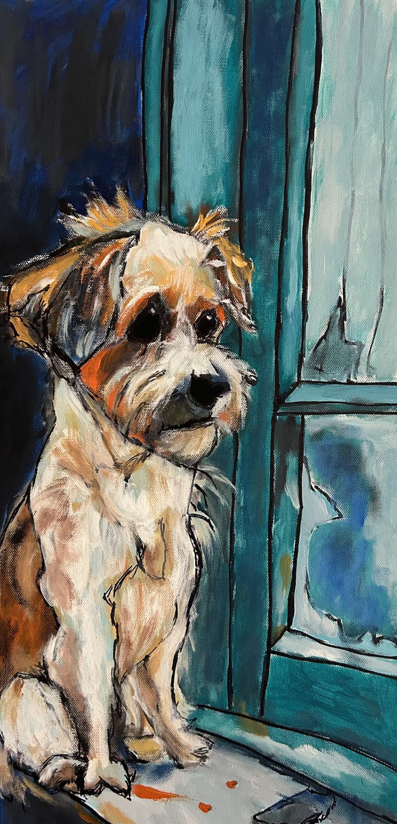 Pup by the window