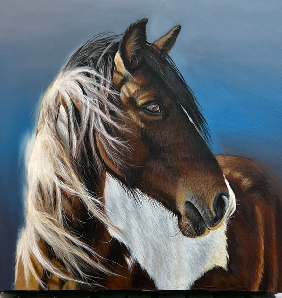 Wild Horse