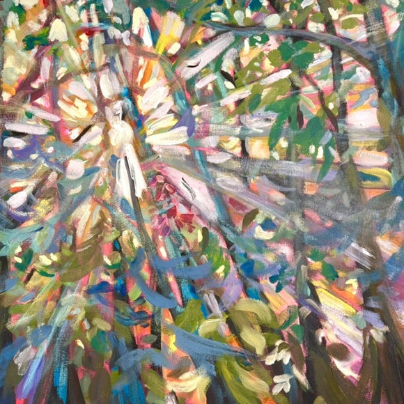 Rays Through the Canopy
