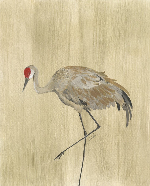 Sandhill Crane