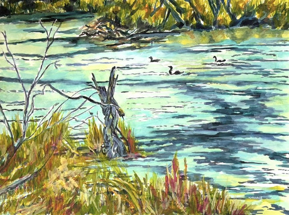Barkway Swamp