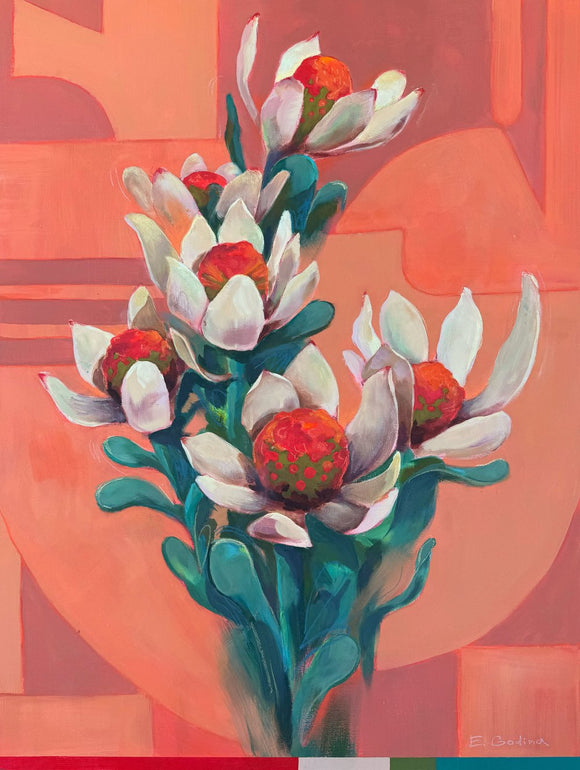 Leucadendron