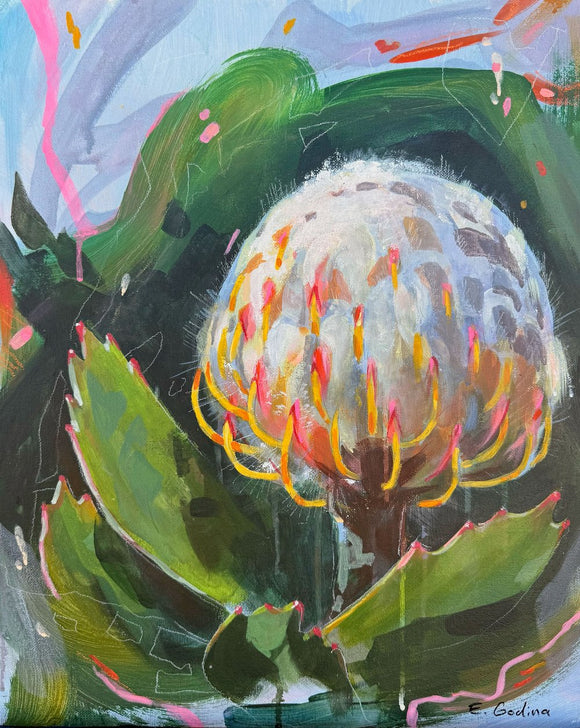 Young Protea
