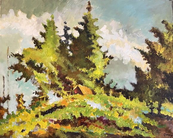 Cabin on the hill