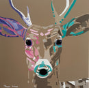 Curios-1