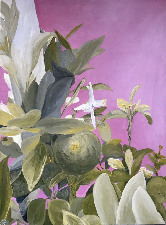 Lime and blossom