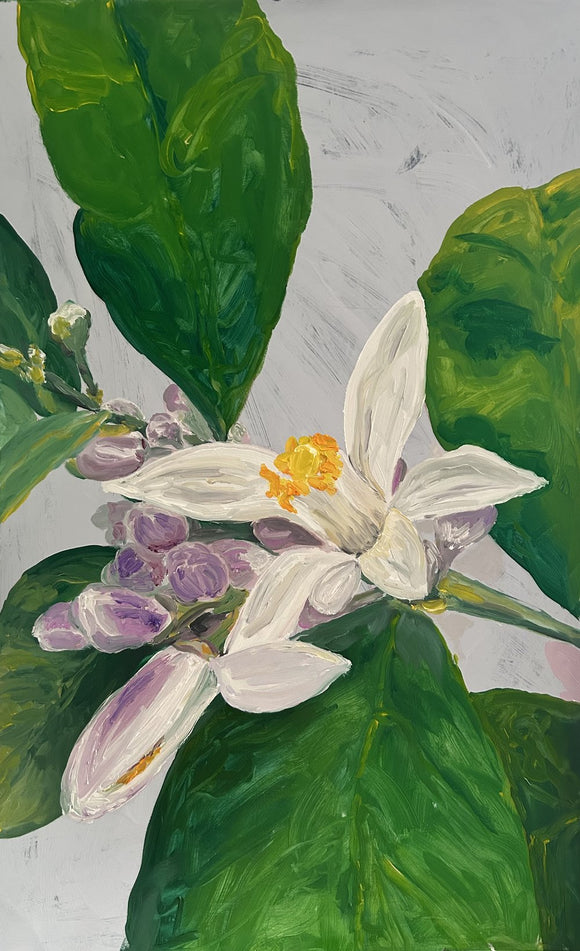 Blossom
