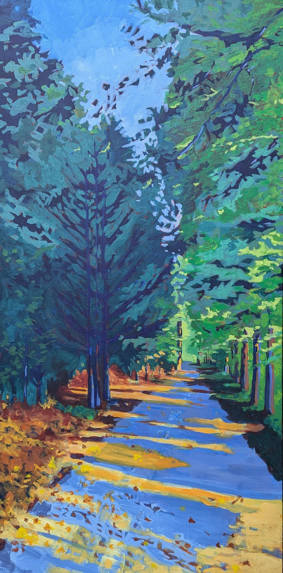 Sunlit Road
