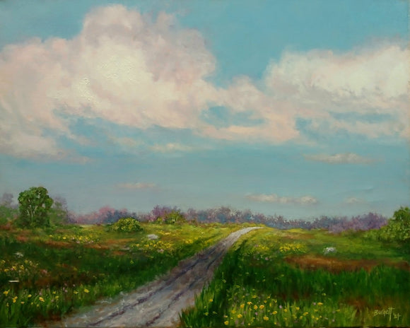 Country Road, Take Me Home