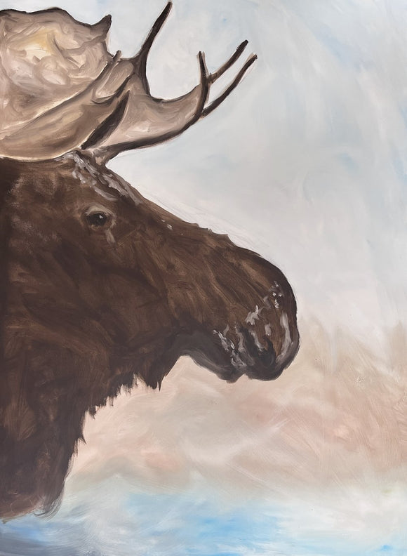 Bull Moose, Winter