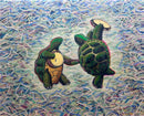 Terrapins-1