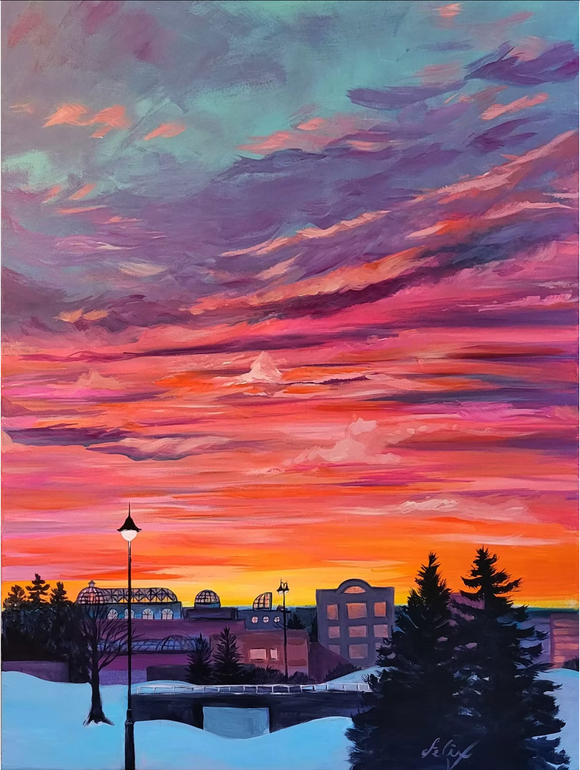 February Sunset