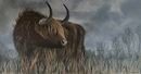 Highland Majesty-1