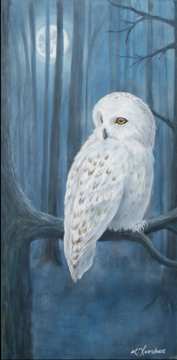 Silent Watcher