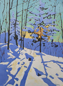 Winter light, Seaton Trail-1