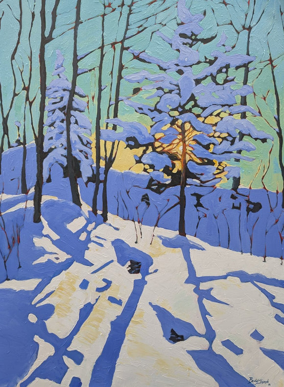 Winter light, Seaton Trail