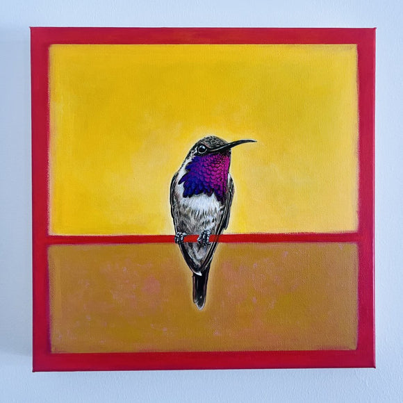 Light Bearer Hummingbird
