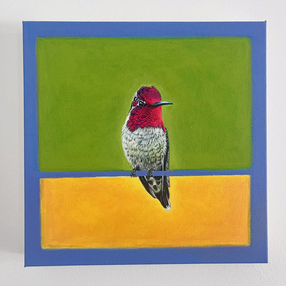 Anna/s Hummingbird