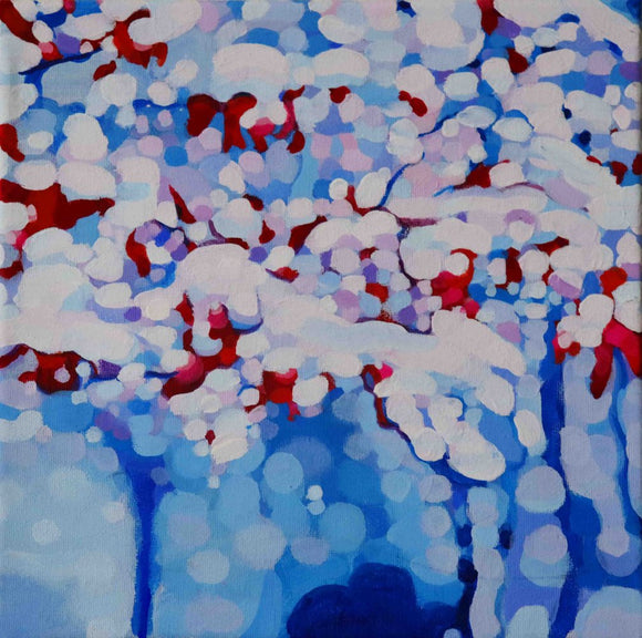 Red Maple Under Snow no. 1