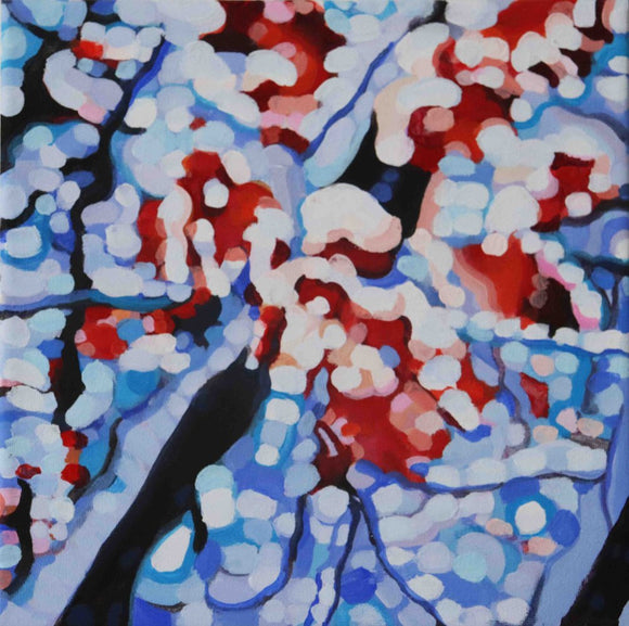 Red Maple Under Snow no. 2