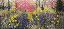 Wild Symphony-1