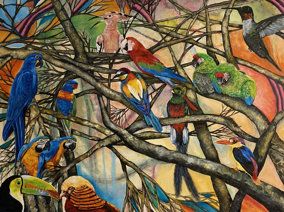 Birds of Paradise