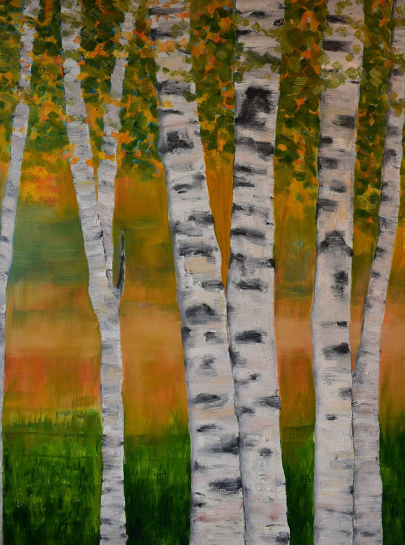Birch Trees