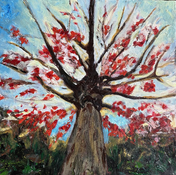 Sweet Autumn