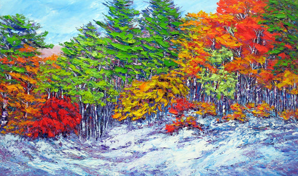 First Snow, Gatineau