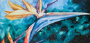 Bird of Paradise-1