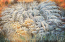 The breath of Wind-1
