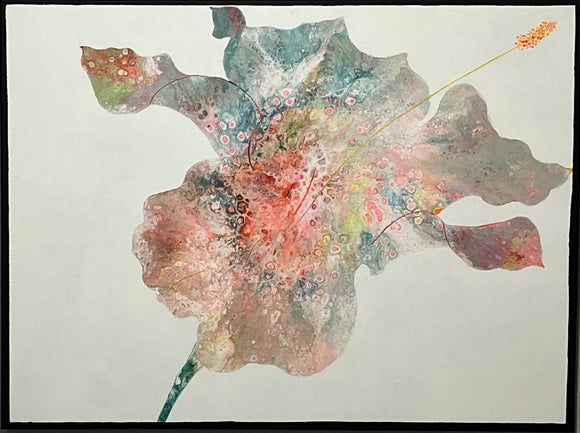 Beauty in Transition