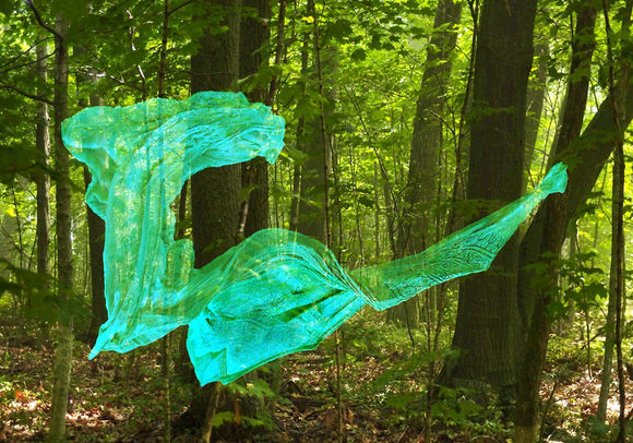 Tree Muse