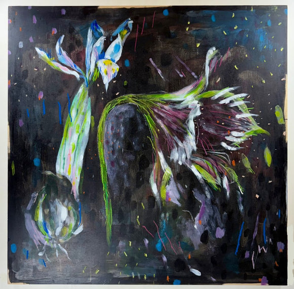 Amaryllis