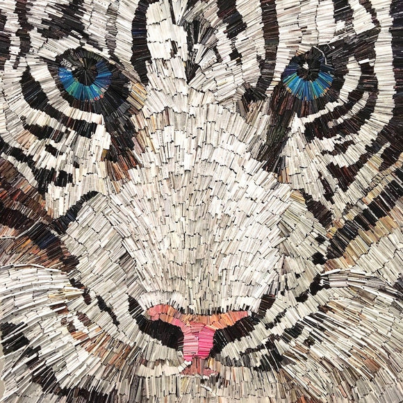 Snow Leopard