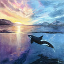 Orca Symphony-1