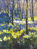 In the Glade-1
