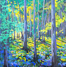 Evening shadows-1