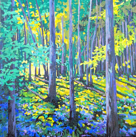 Evening shadows
